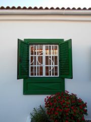 Puertas y Rejas en hierro forjado