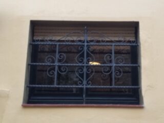 Puertas y Rejas en hierro forjado